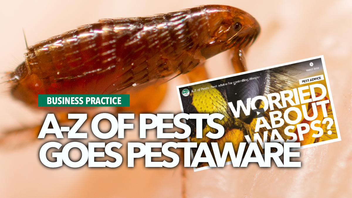 a to z goes pestaware bpca